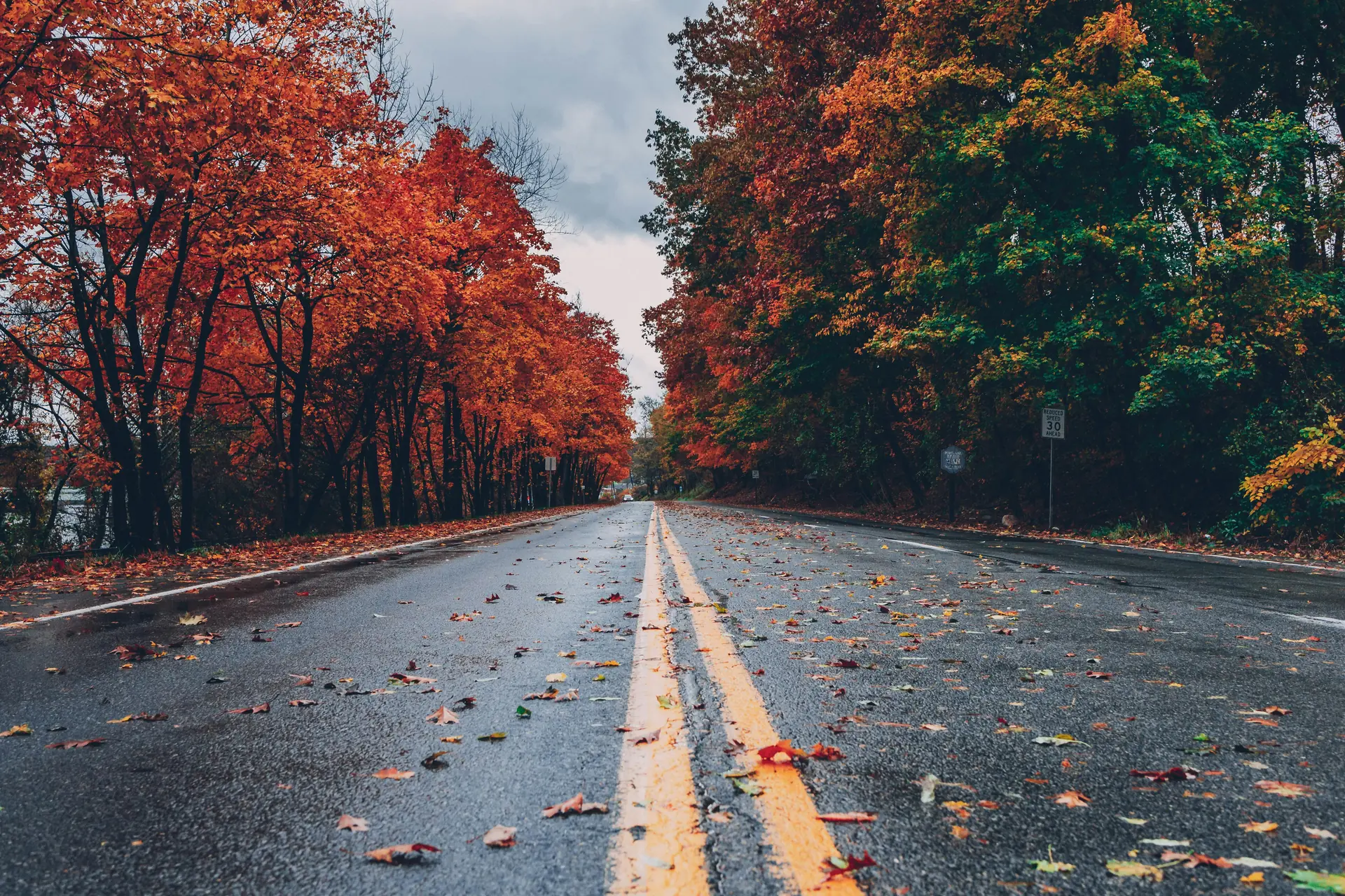 Scenic fall foliage along a Bucks County, Pennsylvania road